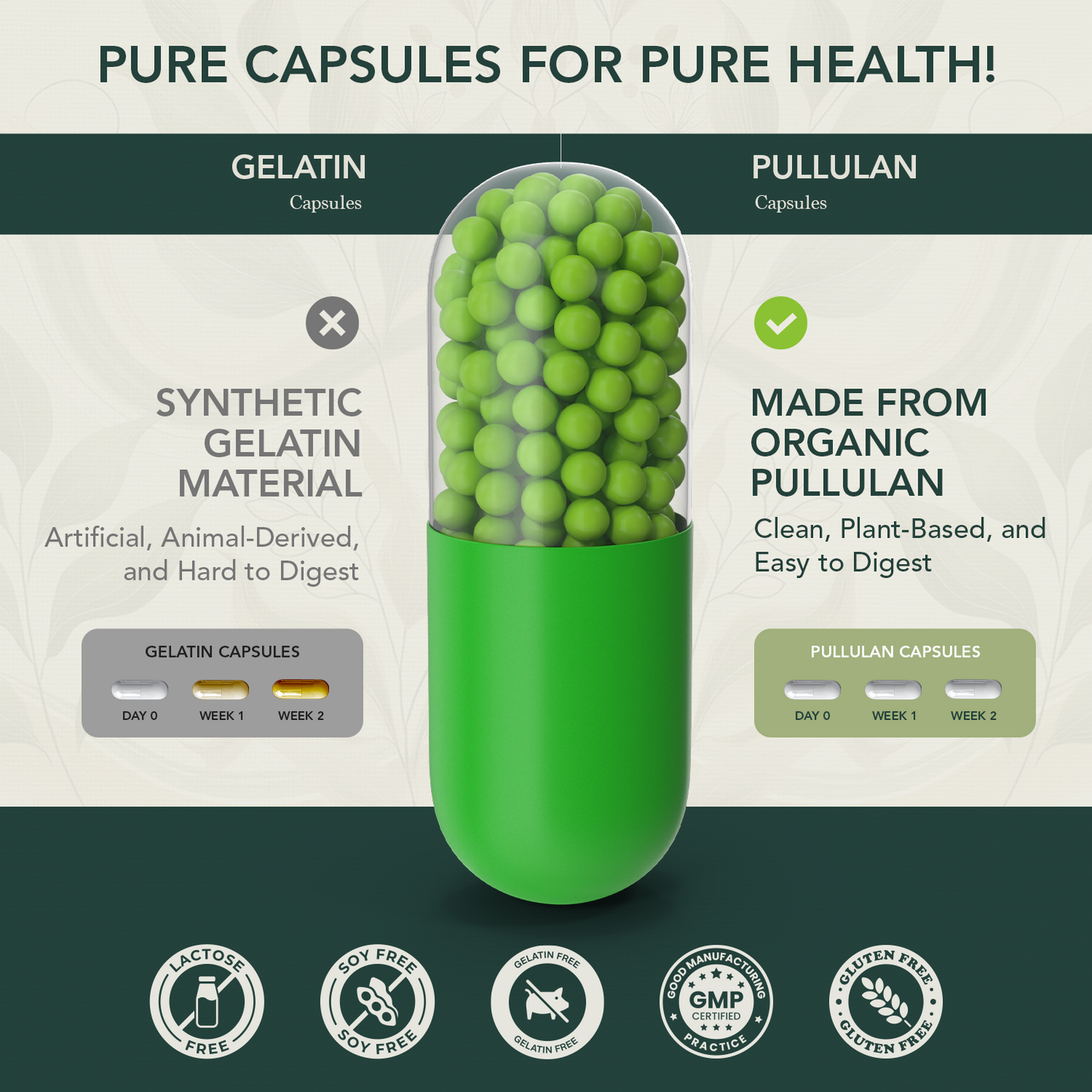 Adult Multivitamin